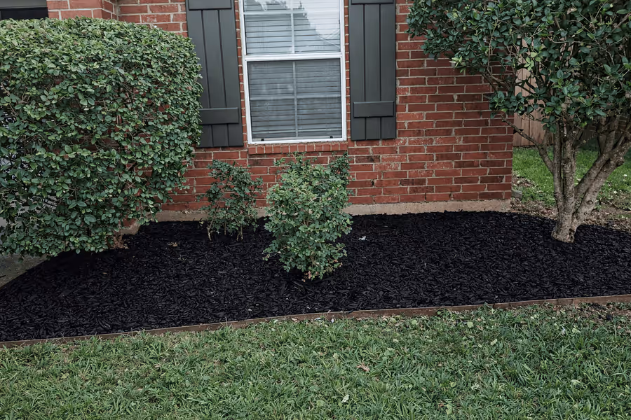 Mulched flower bed with green shrubs in front of a red brick house with a window and gray shutters.